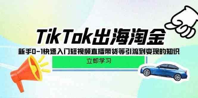 TikTok-出海淘金，新手0-1快速入门短视频直播带货等引流到变现的知识