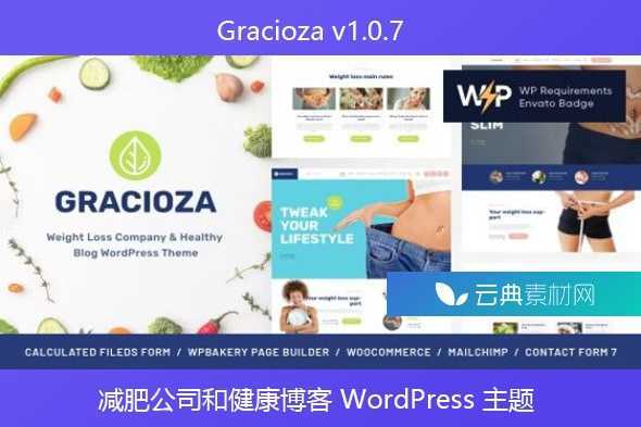 Gracioza v1.0.7 – 减肥公司和健康博客 WordPress 主题