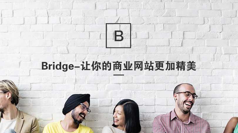 Bridge汉化主题 响应式拖拽编辑的html5响应式网站模板 wordpress主题