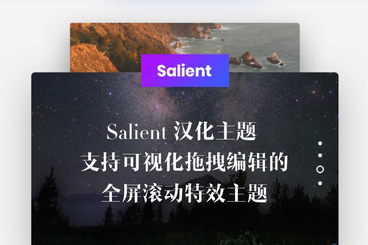 Salient 中文汉化主题 全屏滚动 全屏轮播 的响应式WordPress网站模板