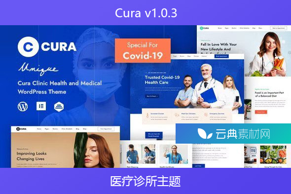 Cura v1.0.3 – 医疗诊所主题