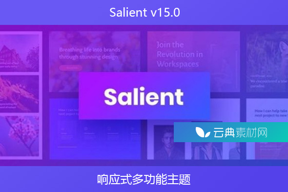 Salient v15.0 – 响应式多功能主题