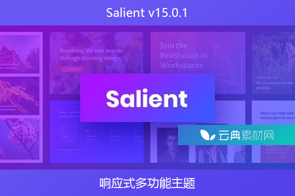 Salient v15.0.1 – 响应式多功能主题