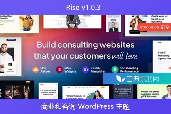 Rise v1.0.3 – 商业和咨询 WordPress 主题