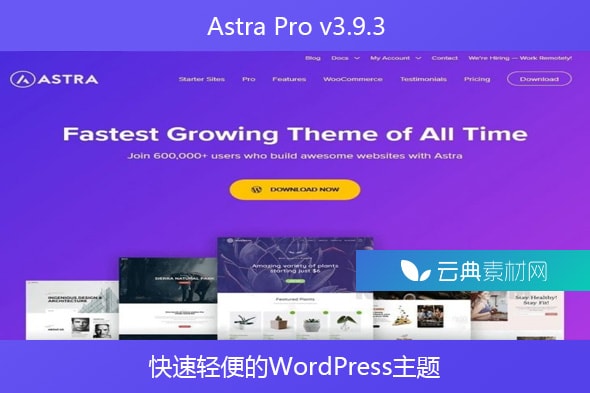 Astra Pro v3.9.3 – 快速轻便的WordPress主题