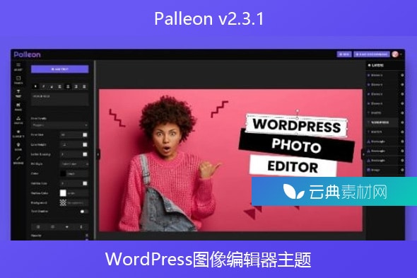 Palleon v2.3.1 – WordPress图像编辑器主题