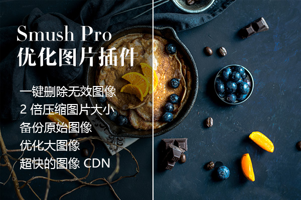 WordPress优化加速图片插件 – WP Smush Pro v3.9.8