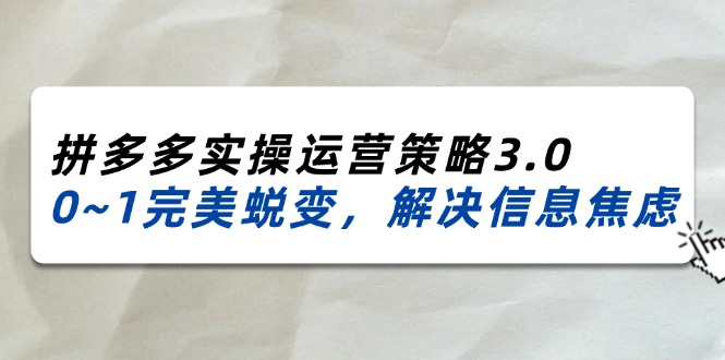 2024_2025拼多多实操运营策略3.0，0~1完美蜕变，解决信息焦虑