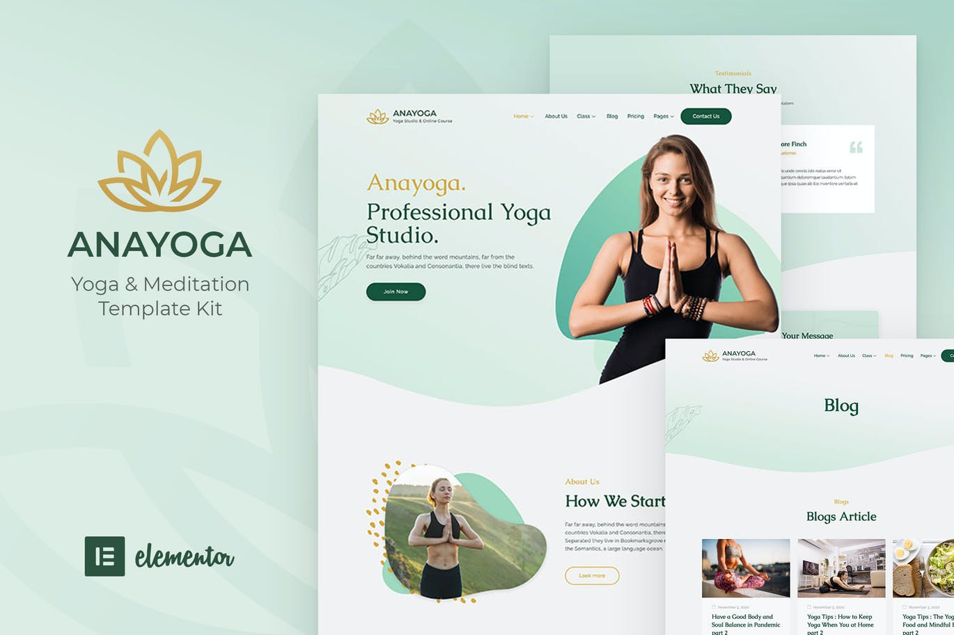 Anayoga – 瑜伽老师和工作室 Elementor Template Kit