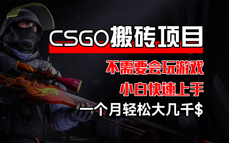 CSGO 装备搬砖项目，操作简单，不需要会玩游戏，小白也能快速上手，一…