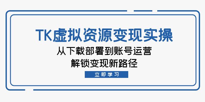 TK虚拟资源变现实操：从下载部署到账号运营，解锁变现新路径